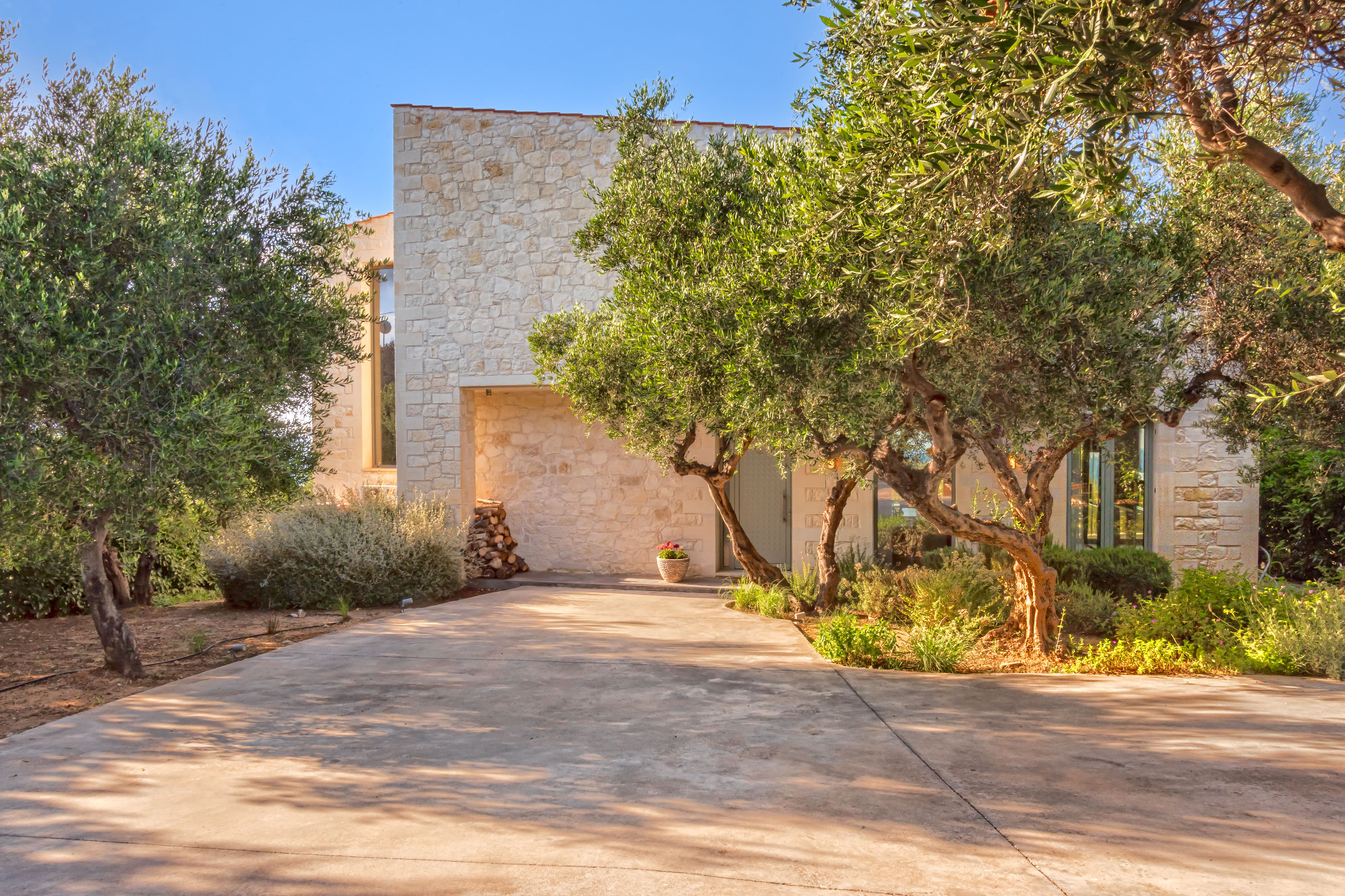 Faidras Olive Grove Faidras Olive Grove